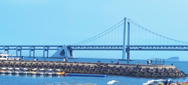 大连旅游巴士路线图,大连樱桃饼为幸运加数