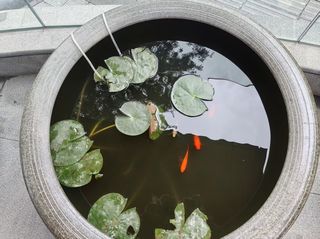 翠湖旁的艺术居停：在昆明邂逅湖光与设计的双重浪漫✨