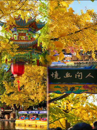 昆明翠湖丽芮酒店:在银杏与古亭间,邂逅翠湖的深秋浪漫😊 11月的昆明,是翠湖银杏