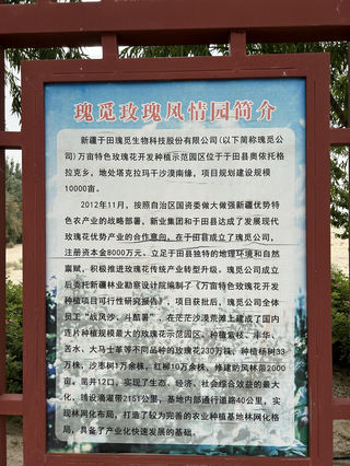 丝路楼兰,穿越南疆11日游之四