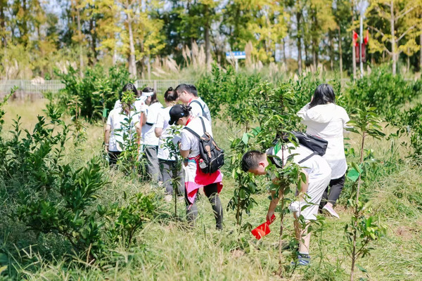 上海团建 | 植树团建攻略一定要看！！！