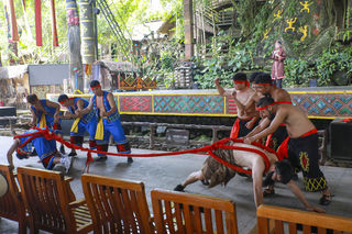 有一种蛮力叫——拉乌龟！