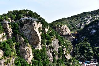 清凉谷的微观奇旅 寻访高山峡谷中的小精灵