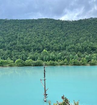 在玉龙雪山脚下遇见仙境💙蓝月谷美到不像人间！！