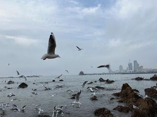 关于日照和青岛 我的山东看海记