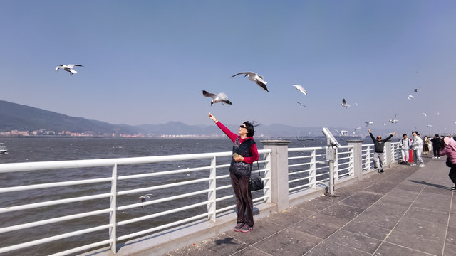 2023北京自驾滇桂黔:赏花之旅07:昆明