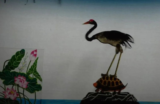 非遗丨皮影戏《龟与鹤》,进入全国新高考二卷(语文卷)