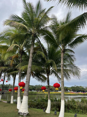 海口自驾游 春节在海口过年