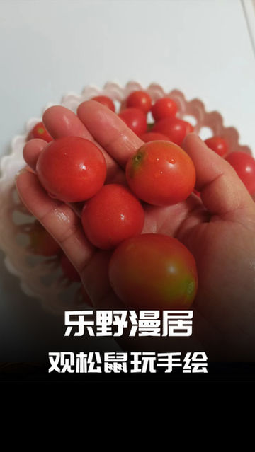 戏水观松鼠密云乐野漫居农家院-民宿汇