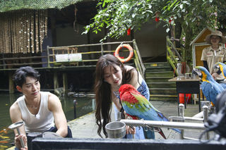 槟榔谷:因为遇见心动的你,所以爱上动人的你