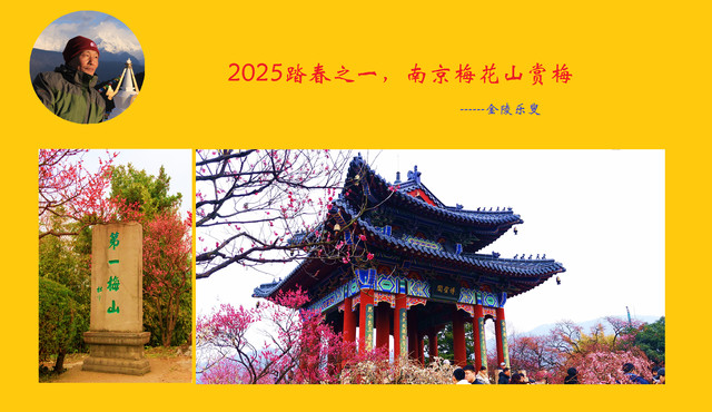 2025蛇年早春二月，南京梅花山赏梅