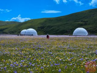 23℃的夏天藏在阿坝红原!赛马 / 花海 / 银河全攻略