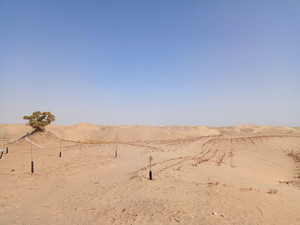 且末游记图文-2024国庆南疆游——少了个旅游搭子，多了些远途疲惫