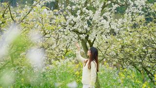 去绵竹赏花后,我才觉得这个春天算圆满~