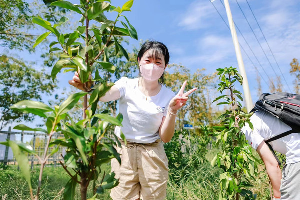 种下一棵树,收获一片绿 —— 我的企业植树团建活动之旅