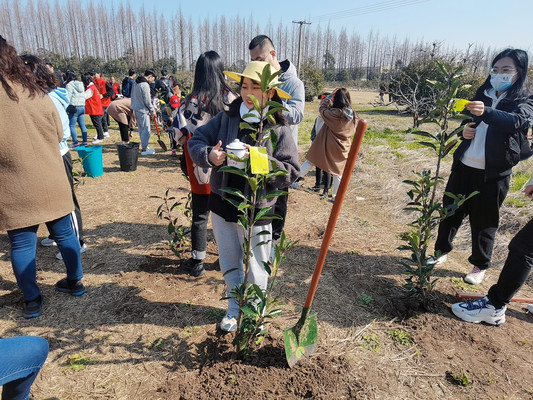 第45个植树节来临之际相约长兴岛桔园农庄种树吧