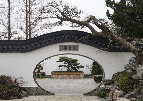 上海植物园游览照片展示(一)