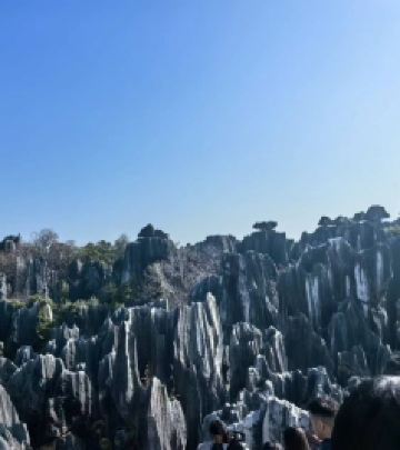 石林景区游记图文-云南石林游感
