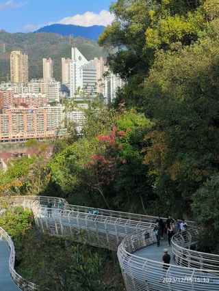 延平（闽粤26天旅行杂记，之十四）