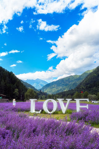 达古冰川不踩坑指南！血泪经验总结！！