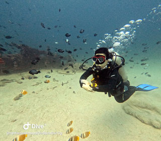 “菲”自由假期