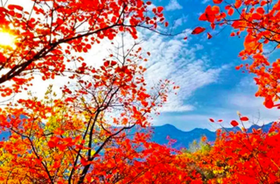 【民宿汇】密云清凉谷风景区燕鑫福农家民宿,带你体验农家生活的美好!燕鑫福农家民宿