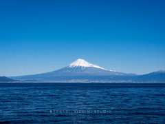 静冈县游记图片] 故地重游，赴一场静冈河津樱的早春之约