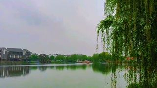 全球三大生态系统之一 体会浓郁的水乡风情 感受徜徉花海的梦幻