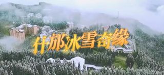 雪落什邡丨一段冬日的温柔记忆