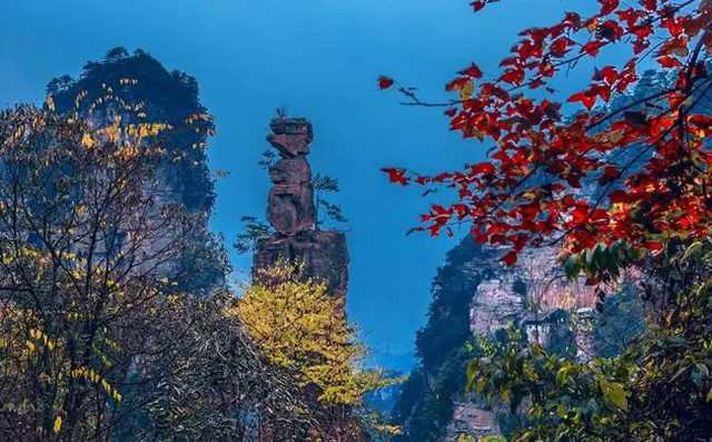 亲身经历张家界自由行,教你防范躲避各种旅游套路指南!