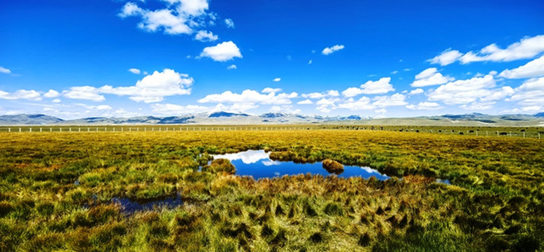 美轮美奂的川西若尔盖花湖