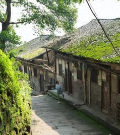 长寿路商业区游记图文-这条长江边上的清代老街，曾是长寿最繁华的街区，今却衰败不堪