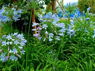 2025年5月24日(星期六）骑行二龙湖