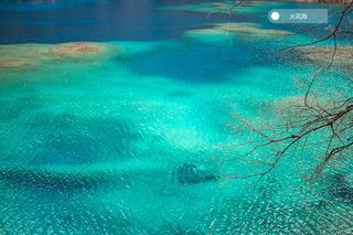 悄悄告诉你们九寨沟怎么玩，人少又省钱！