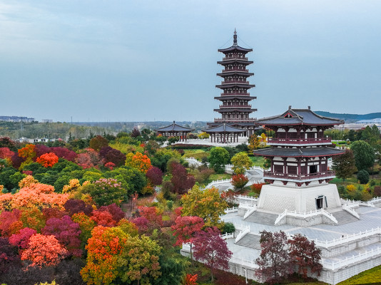 秋游宿州,真是后悔才来安徽这个宝藏小城