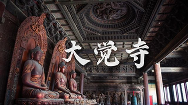 玉兰落处 禅猫过庭 千年古刹大觉寺的漫时光