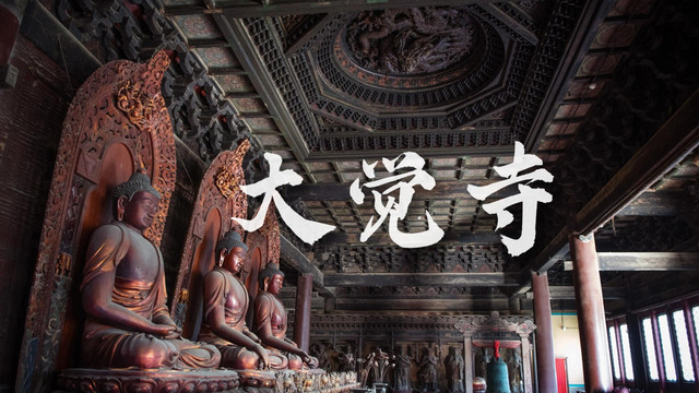 玉兰落处 禅猫过庭 千年古刹大觉寺的漫时光