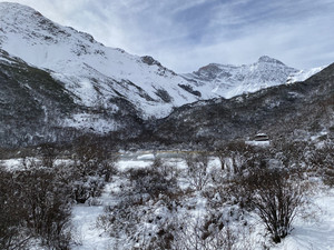 成都游记图文-四川九寨沟、黄龙、都江堰、三星堆、熊猫基地、成都市7天（半自由行）