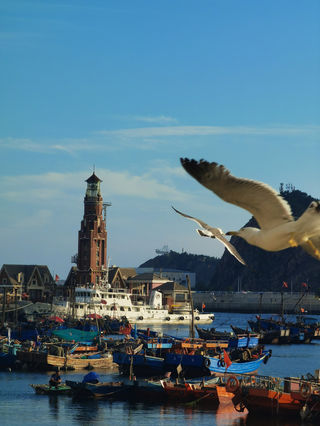 大连旅游团电话，快带樱桃饼一起旅行