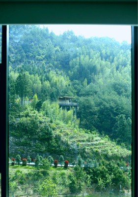 周宁的自然疗愈之旅