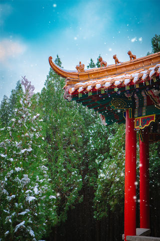 晴空暖阳,初冬的济南青铜山大峡谷,美成仙境!