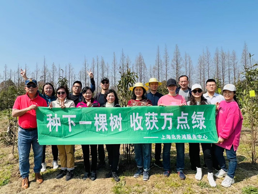 播种希望,绿动上海2025上海植树团建活动方案