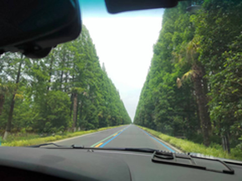 东台游记图片] 东台得德岛酒店套餐游