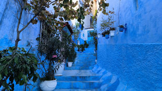 北非3国，中东2国自由行-----摩洛哥篇