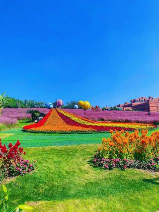 来新都音乐百花谷里,享受惬意的午后时光!