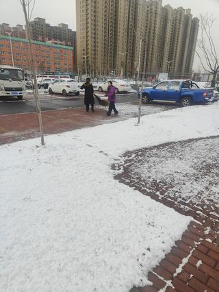 入冬的第一场雪