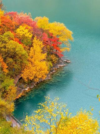 秋季去川西茂县松坪沟看红叶彩林旅游