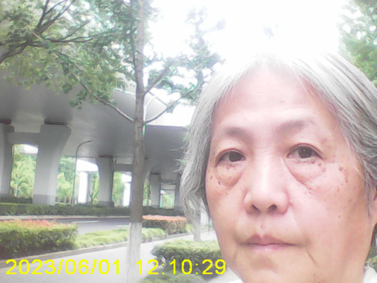 上海虹桥飞机场，七莘路步行路，40分钟我到了，2号航站楼，，