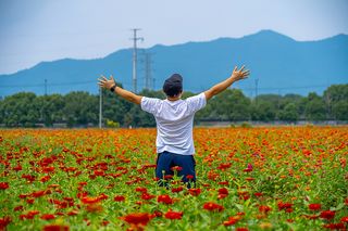 国庆桐庐游,感受杭州亚运马术比赛地的独特风光