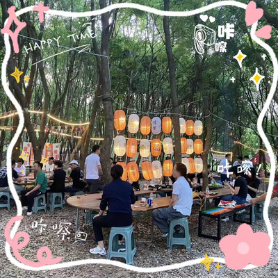 夏日树林团建的自然之美